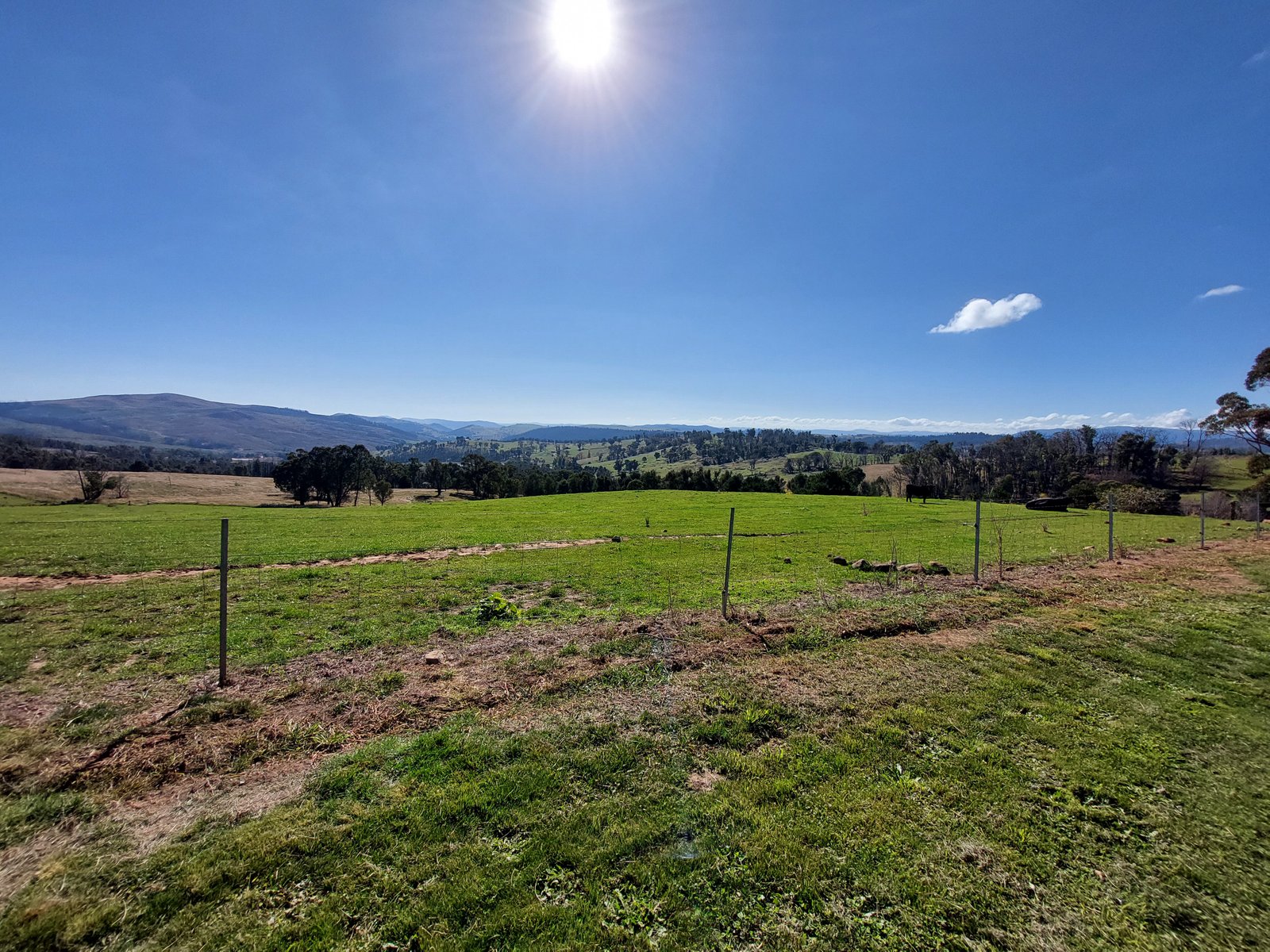 "ROCKLEA" 657 Old Tumbarumba Road BATLOW 19