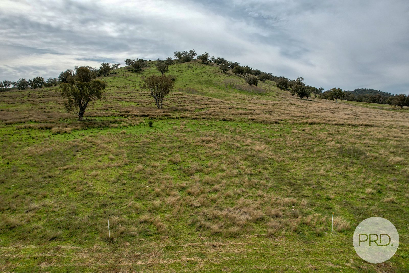 Stage 3 Oaklands Estate  TAMWORTH 10