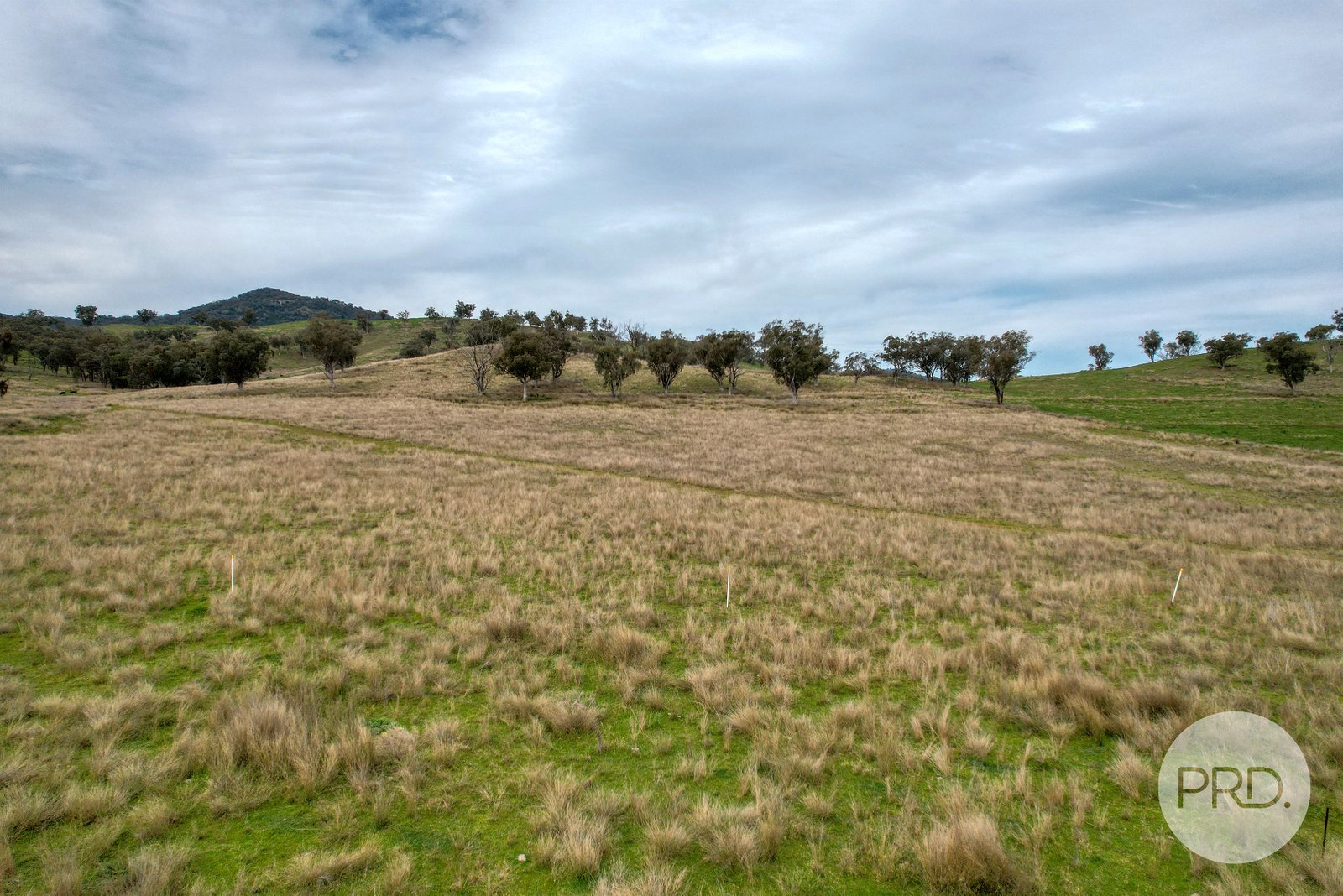 Stage 3 Oaklands Estate  TAMWORTH 12