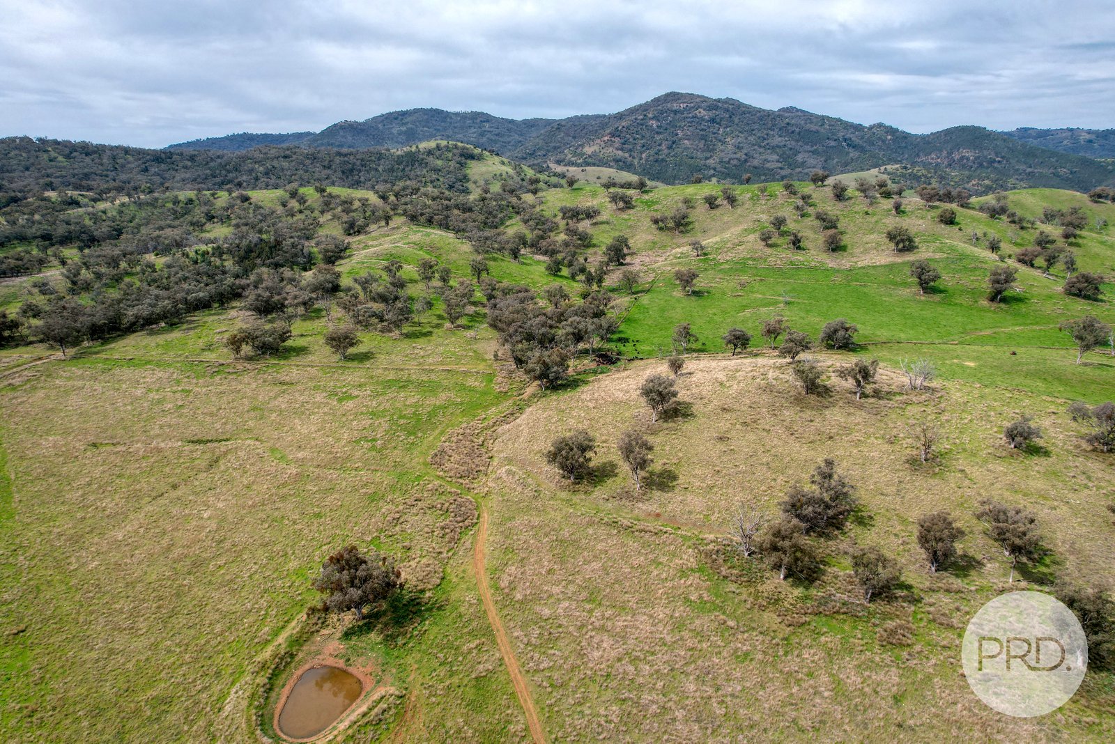 Stage 3 Oaklands Estate  TAMWORTH 16