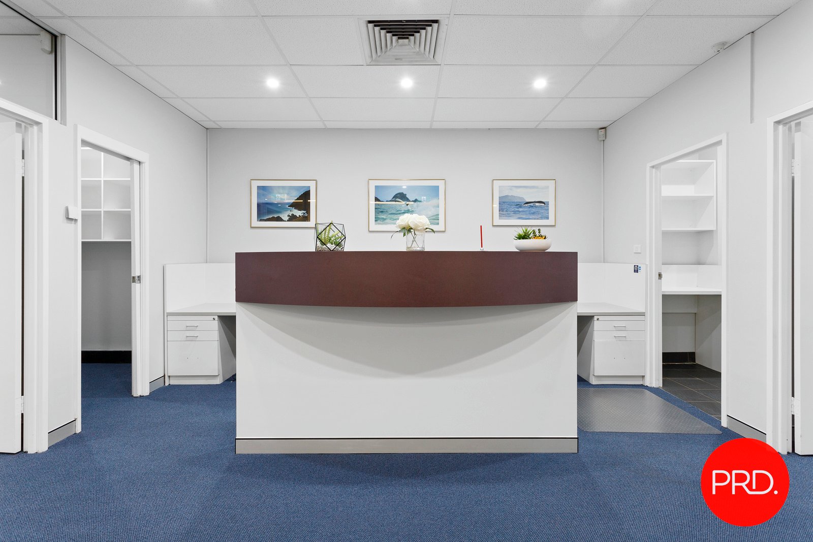 Suite 2/22 Belgrave Street KOGARAH 3