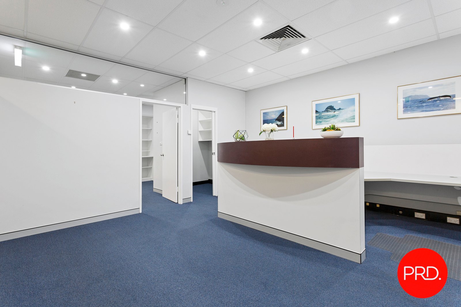 Suite 2/22 Belgrave Street KOGARAH 4