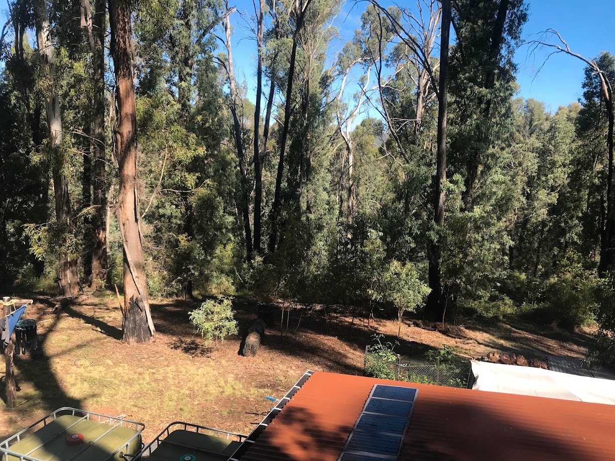  TUMBARUMBA 29