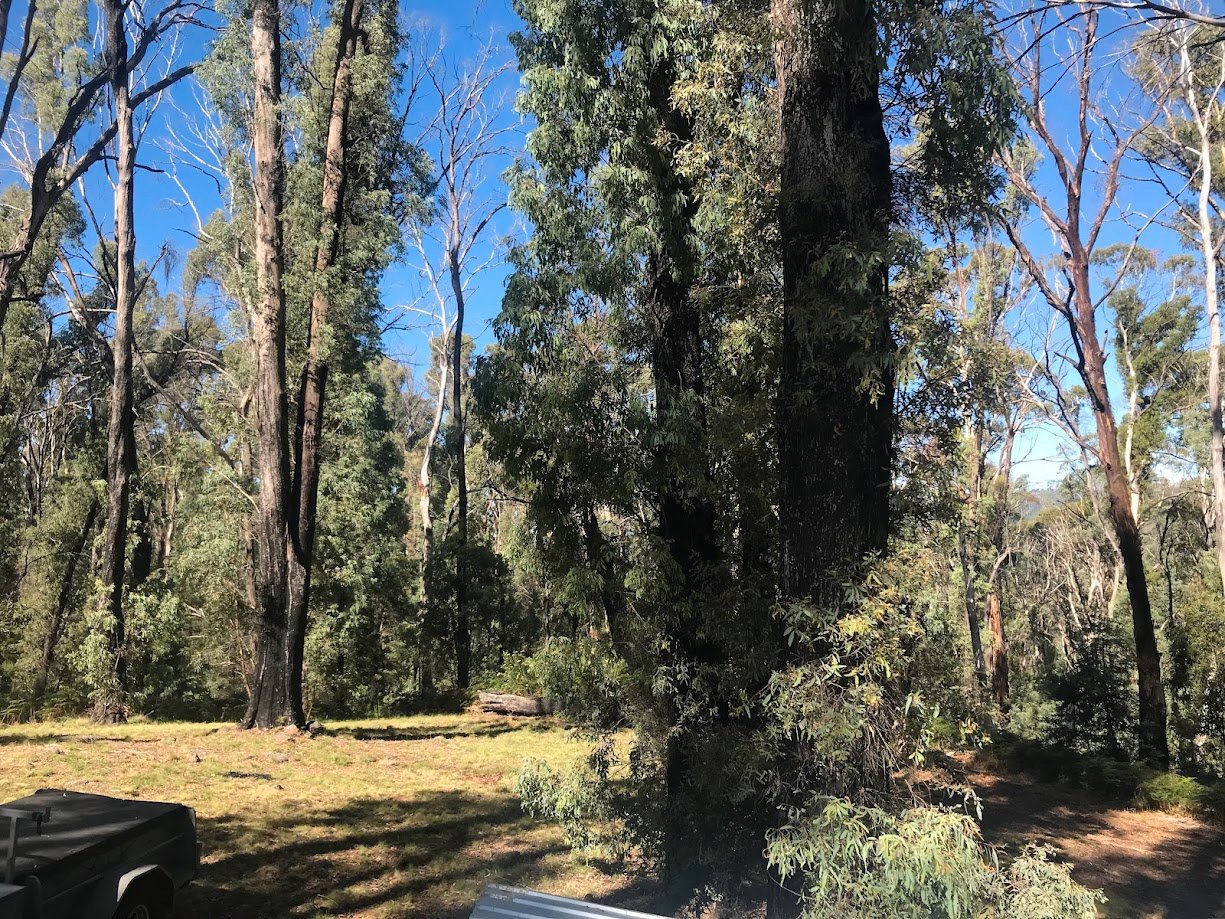  TUMBARUMBA 32