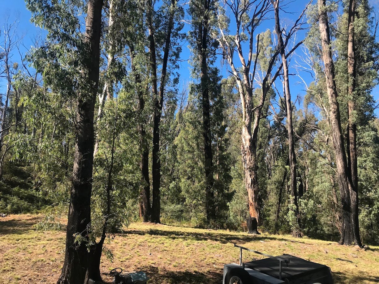  TUMBARUMBA 33