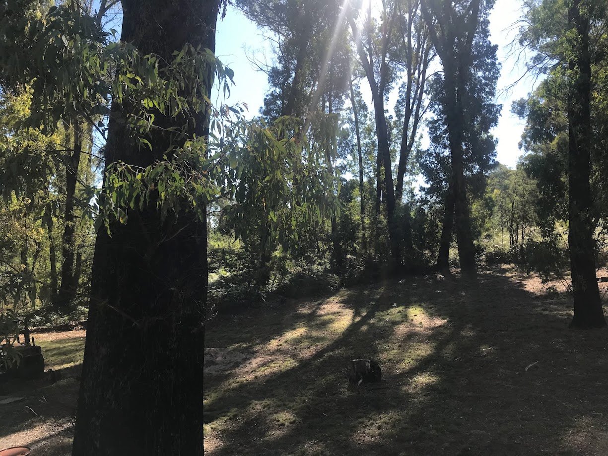  TUMBARUMBA 35