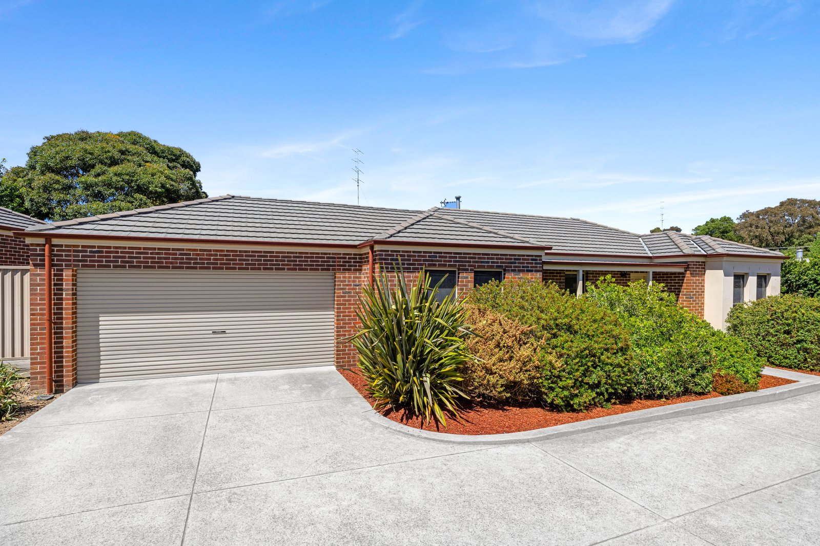 Unit 8/115a Mansfield Avenue MOUNT CLEAR 3