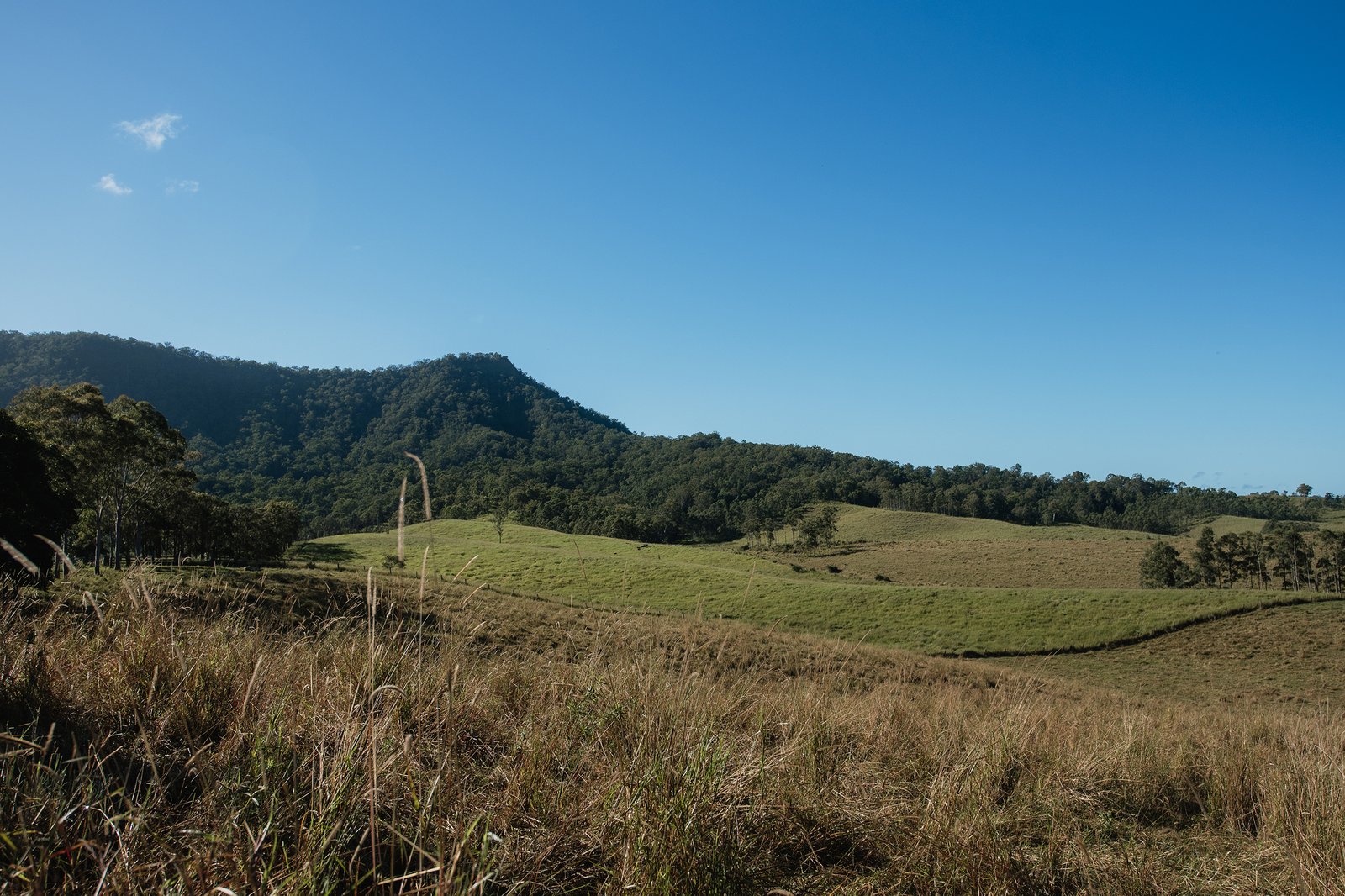  WIANGAREE 11