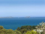 https://images.listonce.com.au/custom/160x/listings/1-nelson-street-shoreham-vic-3916/928/01731928_img_01.jpg?dYGjcFGlBxY