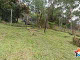 https://images.listonce.com.au/custom/160x/listings/1-olive-grove-lilydale-vic-3140/502/01529502_img_11.jpg?uKN-E07WMpo