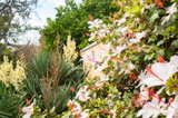 https://images.listonce.com.au/custom/160x/listings/1-oxford-road-sorrento-vic-3943/262/01189262_img_09.jpg?KP3NdH8mSU4