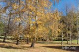 https://images.listonce.com.au/custom/160x/listings/10-fern-road-little-hampton-vic-3458/327/01910327_img_20.jpg?5LzBbTxeYzY