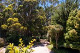 https://images.listonce.com.au/custom/160x/listings/10-railway-avenue-lyonville-vic-3461/988/01733988_img_15.jpg?lvIBgeeidgE