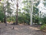 https://images.listonce.com.au/custom/160x/listings/101-oban-road-ringwood-north-vic-3134/289/00621289_img_01.jpg?kQa87TjcK68