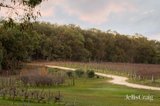 https://images.listonce.com.au/custom/160x/listings/107-mcadams-lane-moonambel-vic-3478/625/01947625_img_20.jpg?RiasogQVcb8