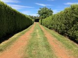 https://images.listonce.com.au/custom/160x/listings/107a-107a-high-street-trentham-vic-3458/286/01897286_img_07.jpg?_XRw7FcWOcI