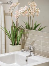 https://images.listonce.com.au/custom/160x/listings/11-kershaw-street-bentleigh-east-vic-3165/079/00987079_img_16.jpg?NsLump4Rcvk