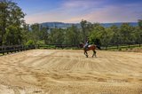 https://images.listonce.com.au/custom/160x/listings/110-glenwood-drive-castella-vic-3777/309/01720309_img_31.jpg?RJMu9nKZ9F8