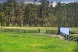 https://images.listonce.com.au/custom/160x/listings/110-glenwood-drive-castella-vic-3777/309/01720309_img_32.jpg?ESaB5tjzGXI