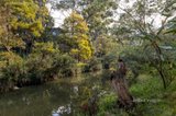 https://images.listonce.com.au/custom/160x/listings/11272-barkly-street-fitzroy-north-vic-3068/935/01705935_img_10.jpg?YZ3qg05g2Q0