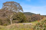https://images.listonce.com.au/custom/160x/listings/114-dears-lane-stonehaven-vic-3218/173/01809173_img_05.jpg?m4WsreTVJgM
