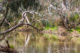 https://images.listonce.com.au/custom/160x/listings/114-dears-lane-stonehaven-vic-3218/173/01809173_img_07.jpg?INXZi39RYOc