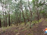 https://images.listonce.com.au/custom/160x/listings/118-wallace-road-christmas-hills-vic-3775/853/01524853_img_15.jpg?luGp58q93RU