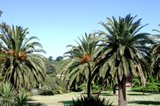 https://images.listonce.com.au/custom/160x/listings/12-carramar-avenue-camberwell-vic-3124/667/01126667_img_15.jpg?ssyLgtocs4Q