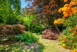 https://images.listonce.com.au/custom/160x/listings/12-dammans-road-warburton-vic-3799/199/01727199_img_02.jpg?DYP2mwqUV74