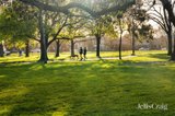 https://images.listonce.com.au/custom/160x/listings/12-south-terrace-clifton-hill-vic-3068/781/01975781_img_22.jpg?8U8OOUj9_6c