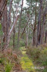 https://images.listonce.com.au/custom/160x/listings/120-dinsdale-road-st-andrews-vic-3761/078/01775078_img_14.jpg?-7kq8ob876E