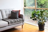 https://images.listonce.com.au/custom/160x/listings/1210-clarke-street-northcote-vic-3070/095/00771095_img_04.jpg?piSr3Z2qvDI