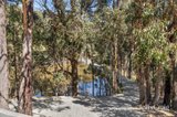 https://images.listonce.com.au/custom/160x/listings/124-olearys-lane-spring-hill-vic-3444/528/01902528_img_14.jpg?wJBBZWkGjpw