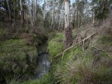https://images.listonce.com.au/custom/160x/listings/128-brysons-road-warrandyte-south-vic-3134/980/00620980_img_19.jpg?J4t6l6hbaVg