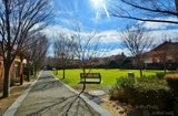 https://images.listonce.com.au/custom/160x/listings/129-manchester-lane-parkville-vic-3052/309/01735309_img_08.jpg?UtDFlhJe1TA