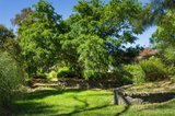 https://images.listonce.com.au/custom/160x/listings/13-coolstore-road-harcourt-vic-3453/443/01703443_img_10.jpg?2CBb-yWgvgw