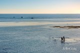 https://images.listonce.com.au/custom/160x/listings/1307-beach-road-black-rock-vic-3193/885/01975885_img_14.jpg?f9znZhygnvk