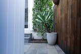 https://images.listonce.com.au/custom/160x/listings/131-york-street-st-kilda-west-vic-3182/962/01912962_img_01.jpg?I8LbtdjsGx8
