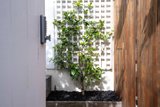 https://images.listonce.com.au/custom/160x/listings/131-york-street-st-kilda-west-vic-3182/962/01912962_img_19.jpg?Neos9Qay5qs