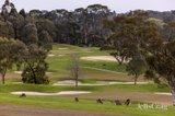 https://images.listonce.com.au/custom/160x/listings/135-rolling-hills-road-chirnside-park-vic-3116/252/01973252_img_12.jpg?FStG8fGBsSw