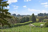 https://images.listonce.com.au/custom/160x/listings/141-beenak-road-wandin-north-vic-3139/511/01905511_img_11.jpg?TKDpK9wawMA