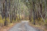 https://images.listonce.com.au/custom/160x/listings/141-sinclairs-lane-walmer-vic-3463/198/01370198_img_11.jpg?EojP_tHDQzQ