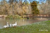https://images.listonce.com.au/custom/160x/listings/142-mollison-street-malmsbury-vic-3446/272/01970272_img_14.jpg?QRDayAzTwGQ