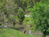https://images.listonce.com.au/custom/160x/listings/143-bickleigh-street-glen-iris-vic-3146/111/00829111_img_06.jpg?VwLPa9tPg-0