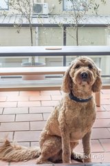 https://images.listonce.com.au/custom/160x/listings/14343-church-street-richmond-vic-3121/894/01796894_img_09.jpg?nf7Qn-SnQ50