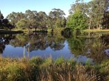 https://images.listonce.com.au/custom/160x/listings/145-mulcahys-road-trentham-vic-3458/488/00710488_img_03.jpg?RaLlhdefUjI