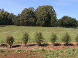 https://images.listonce.com.au/custom/160x/listings/149-mulcahys-road-trentham-vic-3458/191/00557191_img_01.jpg?SEuN99attc0