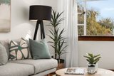 https://images.listonce.com.au/custom/160x/listings/1510a-mitford-street-st-kilda-vic-3182/220/01794220_img_04.jpg?oZiCX3bVI7E