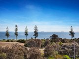 https://images.listonce.com.au/custom/160x/listings/155-ormond-esplanade-elwood-vic-3184/581/01793581_img_11.jpg?RhiBWac1MTk