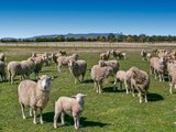 https://images.listonce.com.au/custom/160x/listings/167-bourke-lane-tylden-vic-3444/297/01898297_img_04.jpg?XVMovwUH_PQ